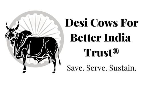 Desi Cows For Better India Trust Desi Cows