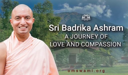 Sri Badrika Ashram Pujya Om Swami Ji