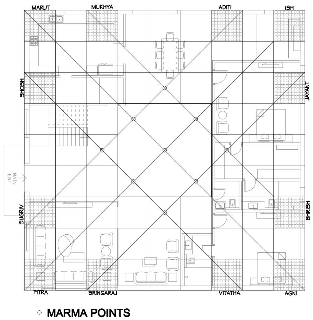 Marma Points